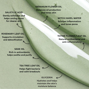Descrizione degli ingredienti naturali per la cura della pelle