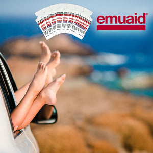 EMUAIDMAX Confezione da viaggio da 30 giorni