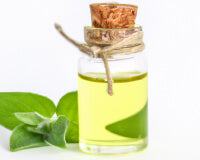 Olio di menta piperita