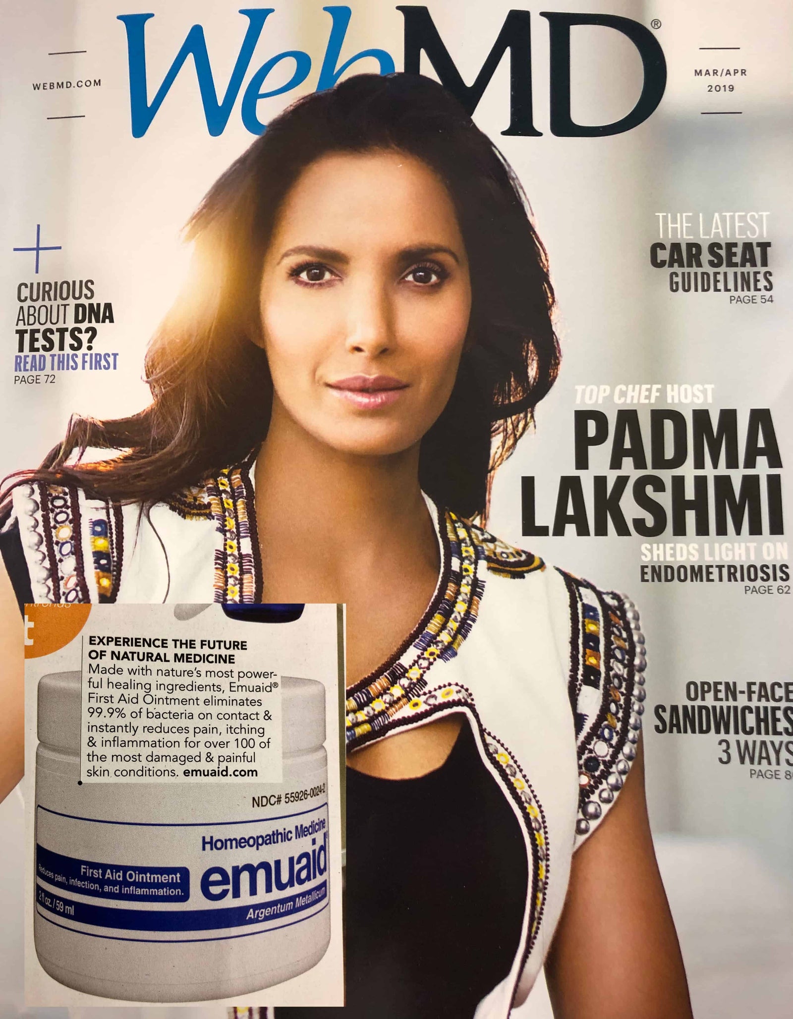 Questa è un'immagine della copertina di un Web MD.