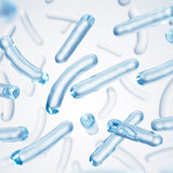 Fermento Bacillus (Postbiotico)