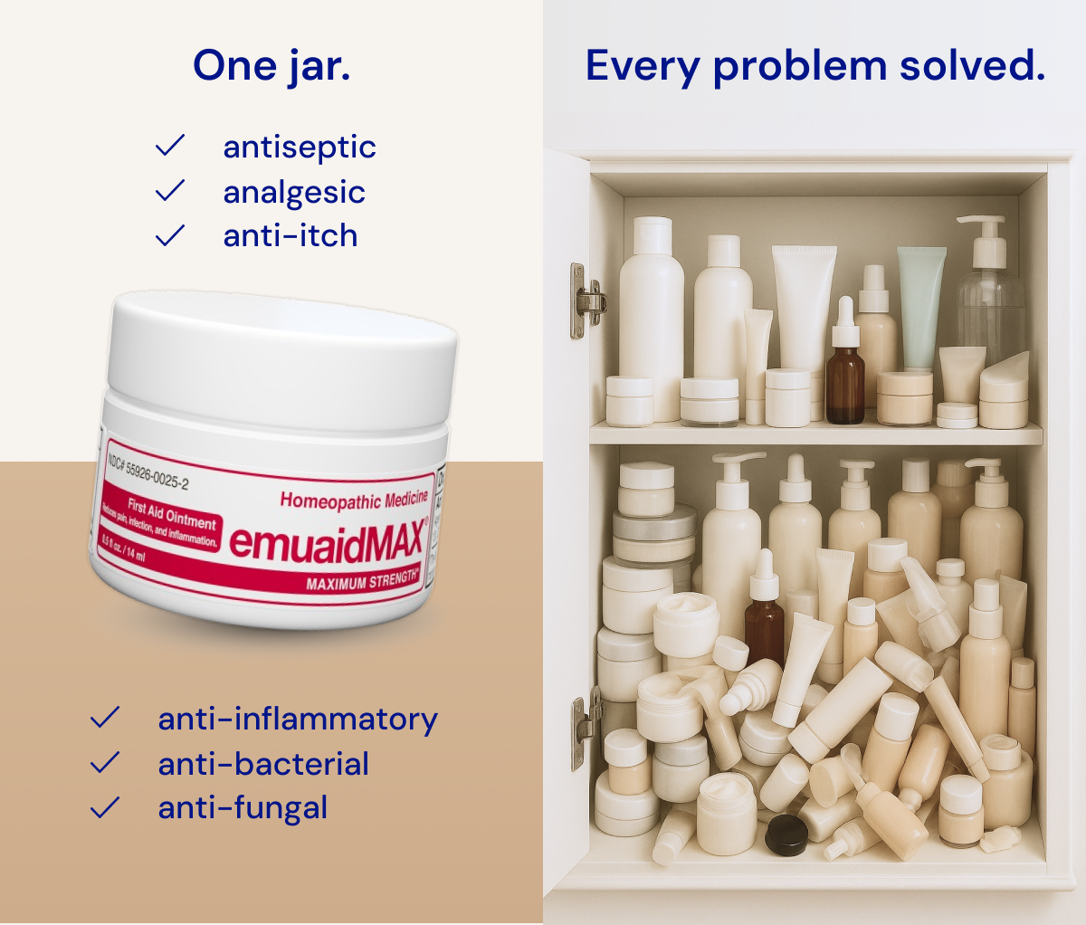 immagine infografica
