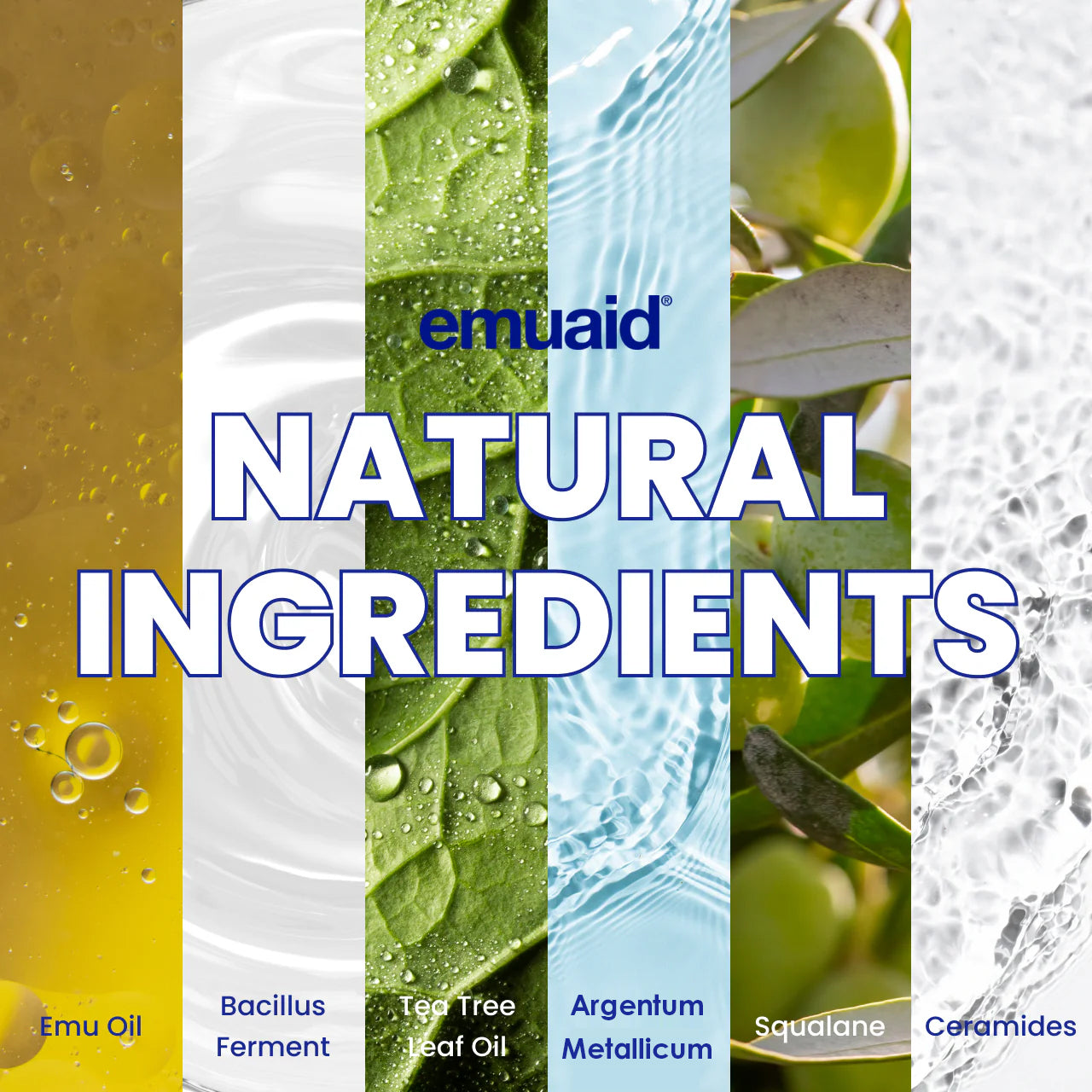ingredienti naturali oli ed estratti emuaid